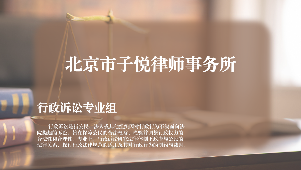 行政诉讼专业组