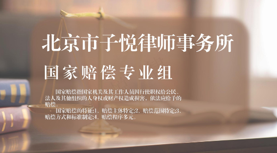 国家赔偿专业组
